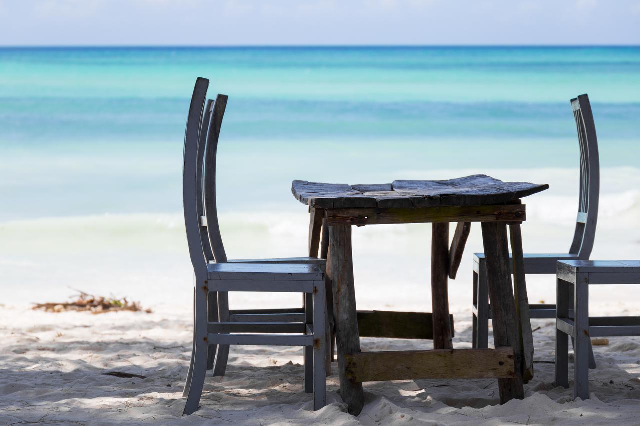 Bed & Breakfast Lazy House Kiwengwa (Zanzibar)